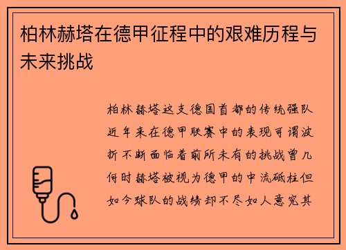 柏林赫塔在德甲征程中的艰难历程与未来挑战