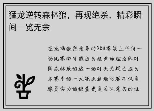 猛龙逆转森林狼，再现绝杀，精彩瞬间一览无余